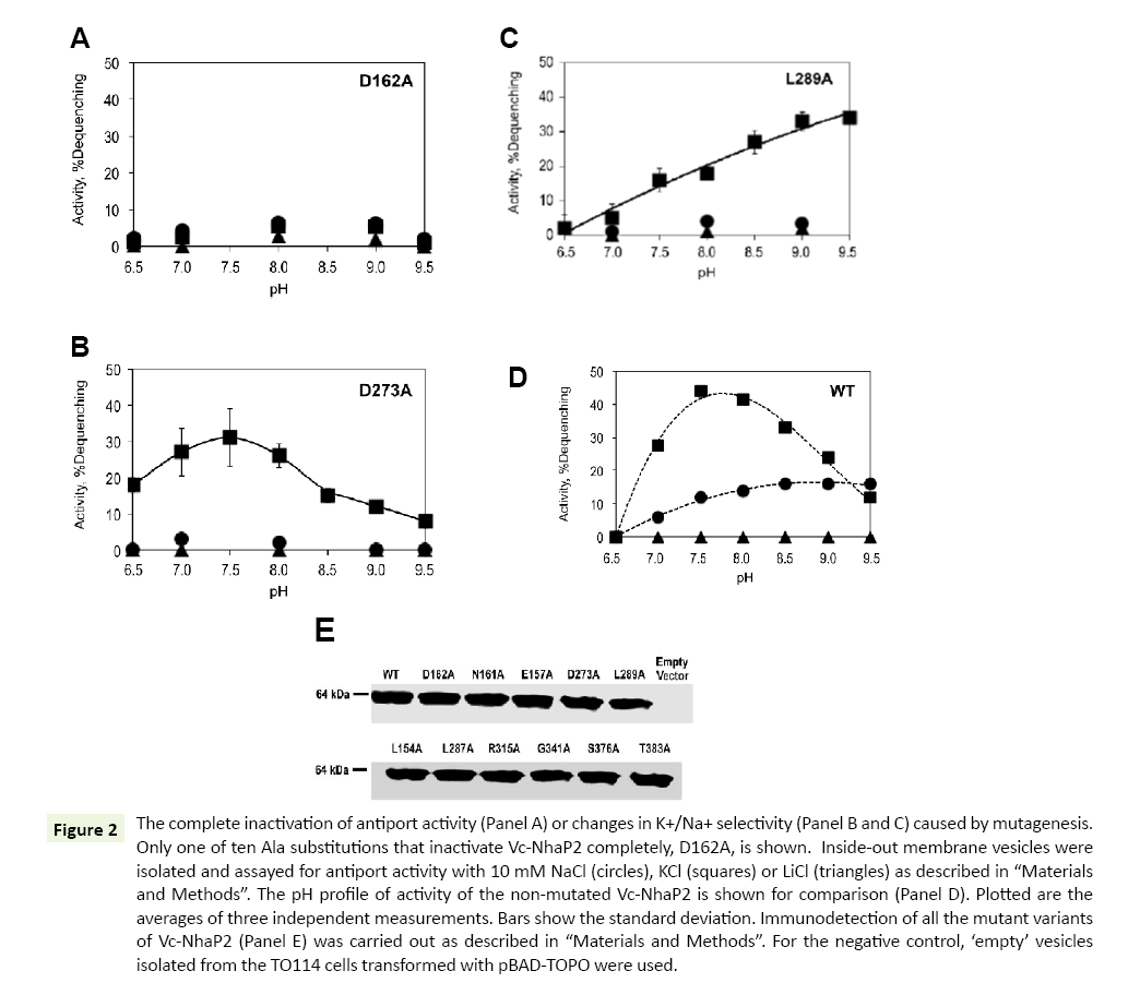 molecular-biology-biotechnology-immunodetection