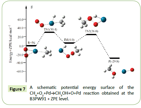 molecular-cellular-biochemistry-energy