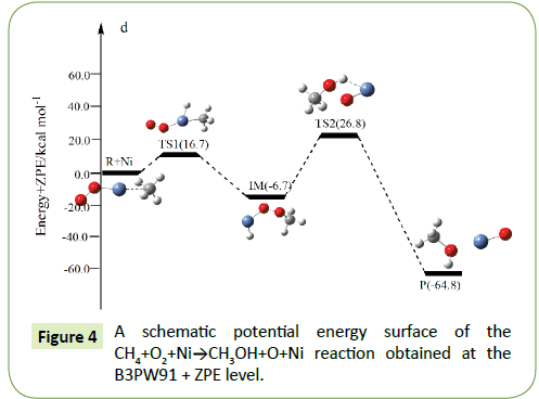 molecular-cellular-biochemistry-energy-surface