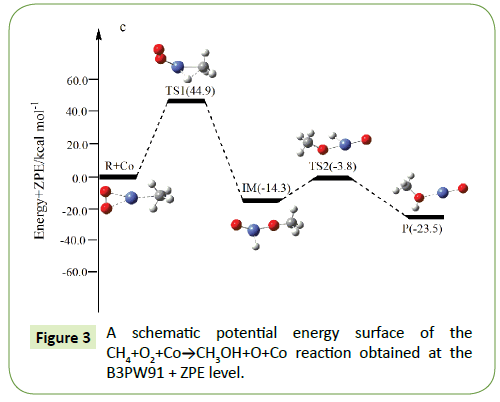 molecular-cellular-biochemistry-level