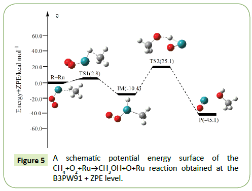 molecular-cellular-biochemistry-obtained