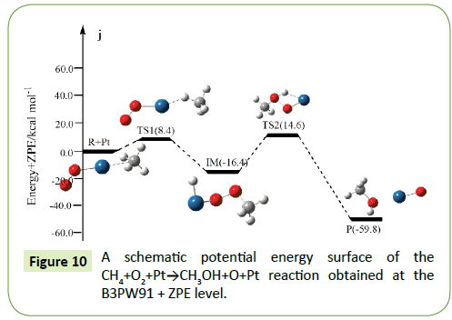 molecular-cellular-biochemistry-potential