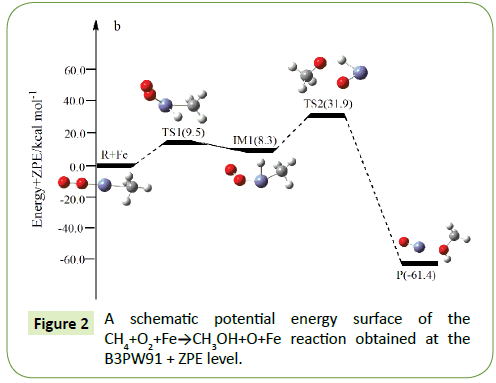 molecular-cellular-biochemistry-potential-energy