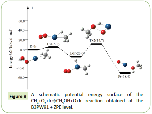 molecular-cellular-biochemistry-schematic