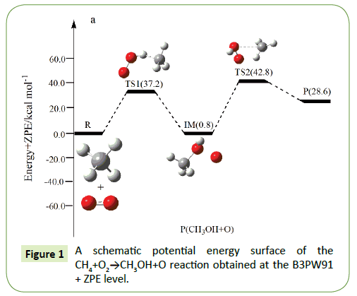 molecular-cellular-biochemistry-schematic-potential