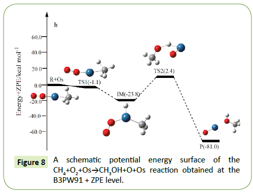 molecular-cellular-biochemistry-surface