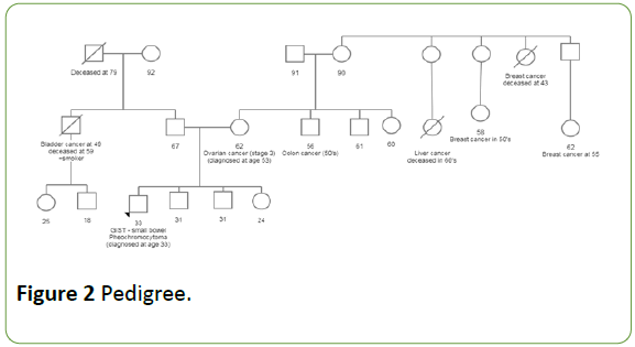 molecular-genetics-medicine-Pedigree