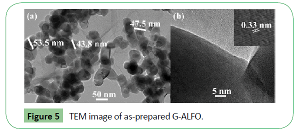 molecular-sciences-TEM-image