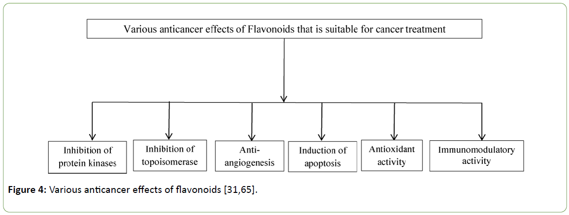 molecular-sciences-anticancer-effects