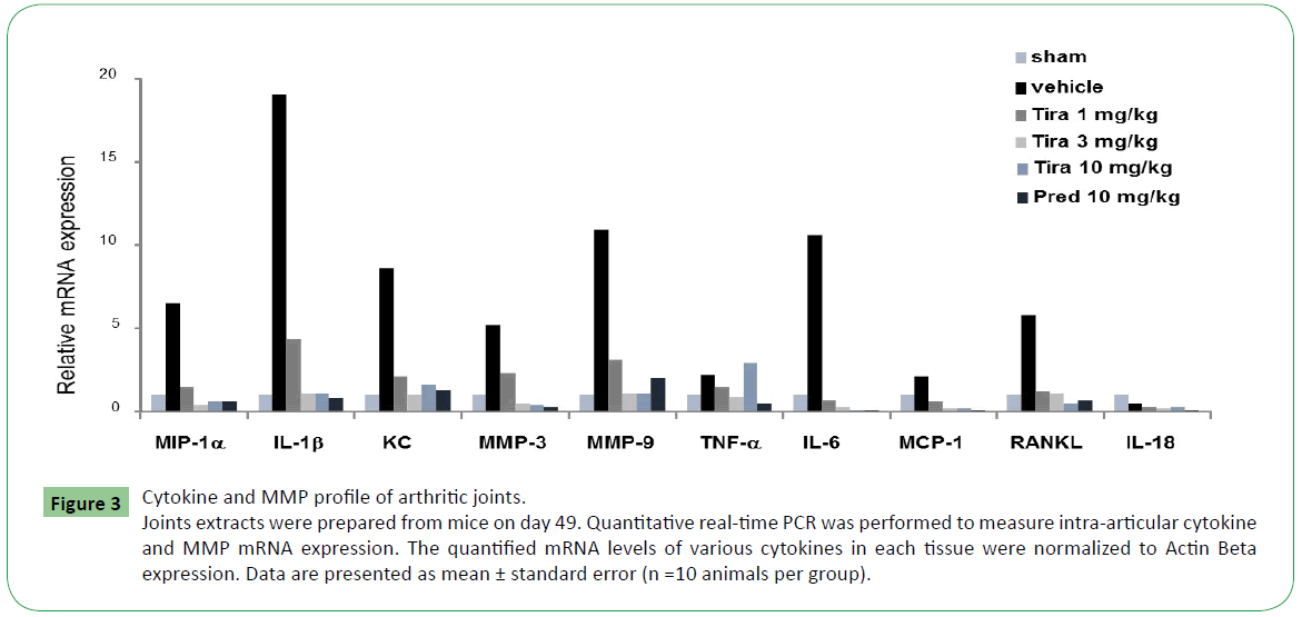 molecular-sciences-arthritic-joints