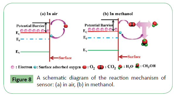 molecular-sciences-reaction-mechanism