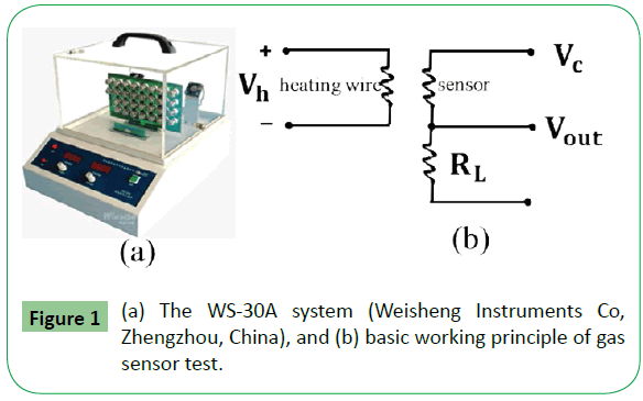 molecular-sciences-sensor-test