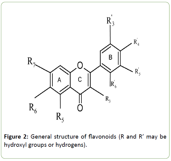 molecular-sciences-structure-flavonoids
