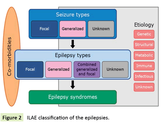 neurological-science-ILAE-classification