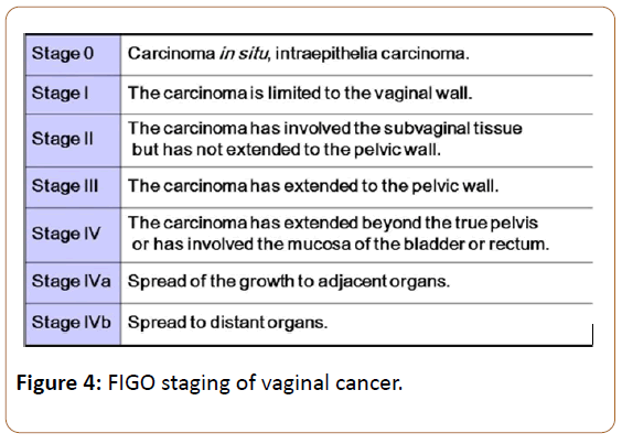oncopathology-clinical-research-vaginal-cancer