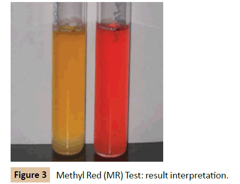 pharmaceutical-biotechnology-Methyl-Red