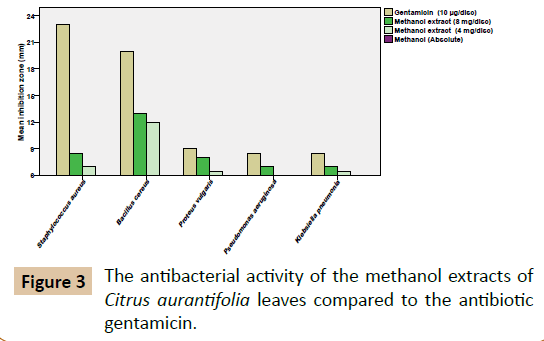 pharmaceutical-biotechnology-antibiotic-gentamicin