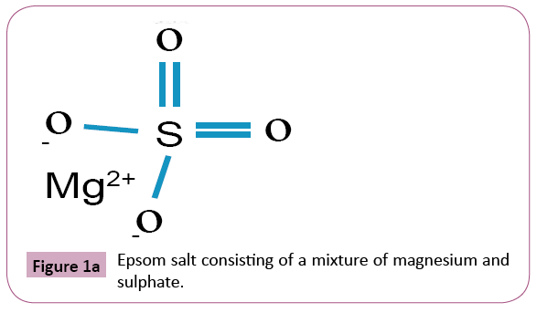 pharmacology-pharmacotherapeutics-Epsom