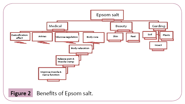 pharmacology-pharmacotherapeutics-Epsom-salt
