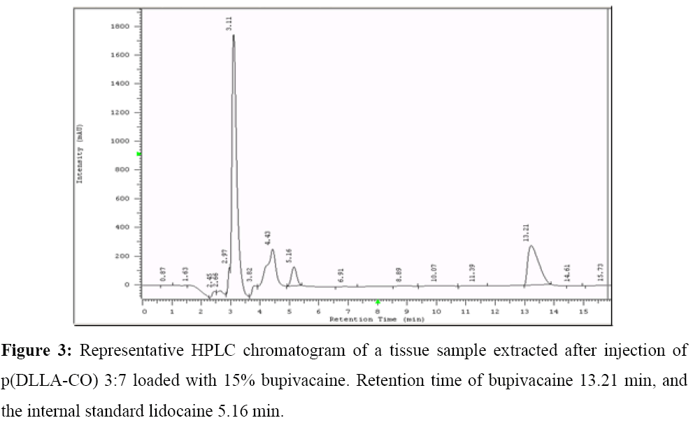 pharmacology-pharmacotherapeutics-HPLC-chromatogram