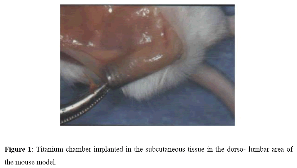 pharmacology-pharmacotherapeutics-Titanium-chamber