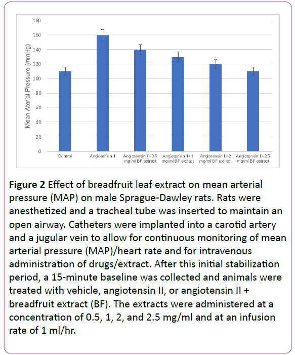 pharmacology-pharmacotherapeutics-leaf-extract