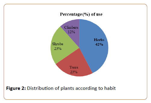 pharmacy-practice-education-Distribution-plants