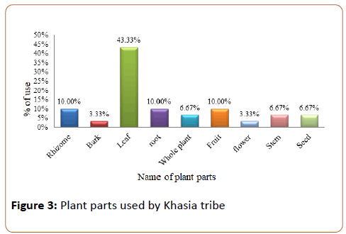 pharmacy-practice-education-Plant-parts