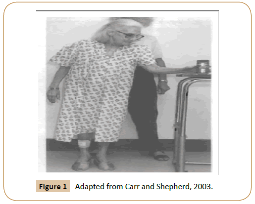 physiotherapy-research-Carr-Shepherd