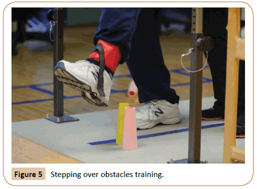 physiotherapy-research-Stepping-over