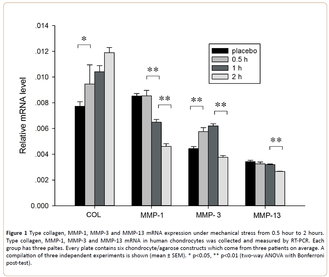 physiotherapy-research-Type-collagen