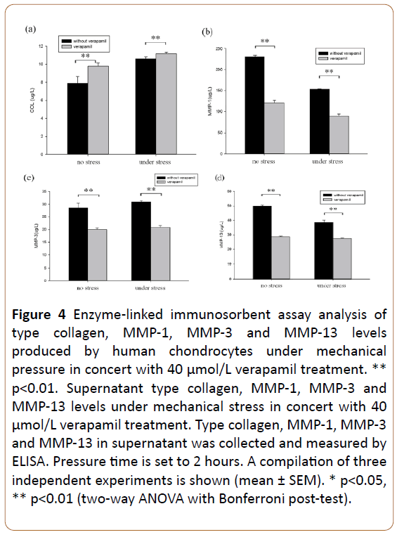 physiotherapy-research-immunosorbent