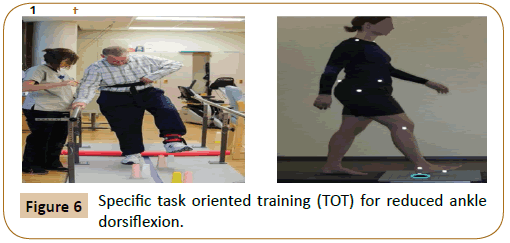 physiotherapy-research-oriented-training