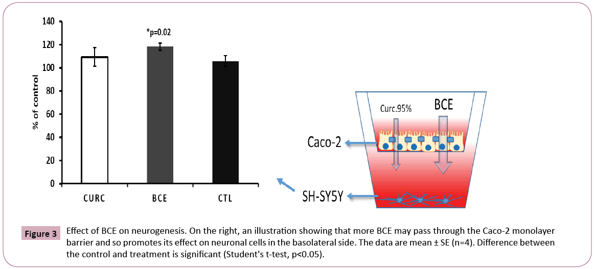 phytomedicine-clinical-therapeutics-BCE-neurogenesis