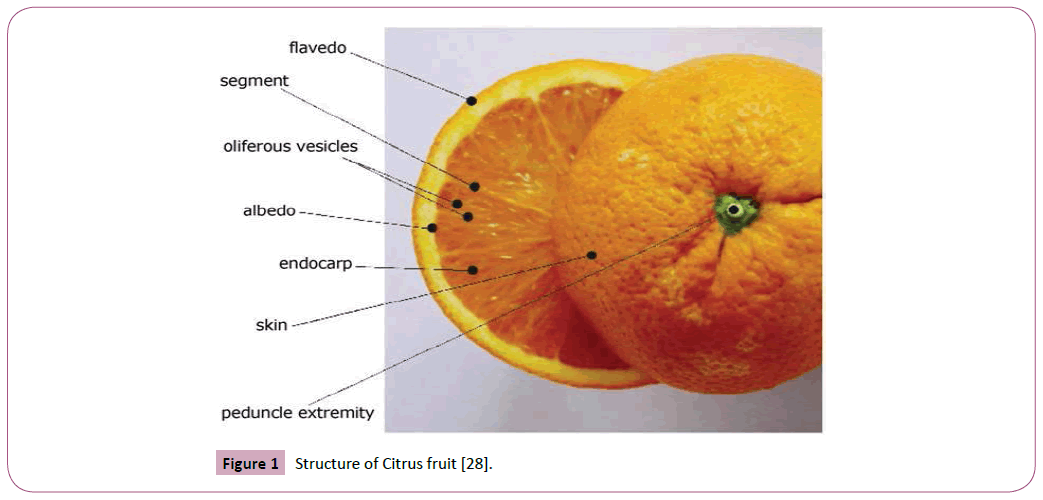 phytomedicine-clinical-therapeutics-Structure-Citrus-fruit5-2-17-g001.png