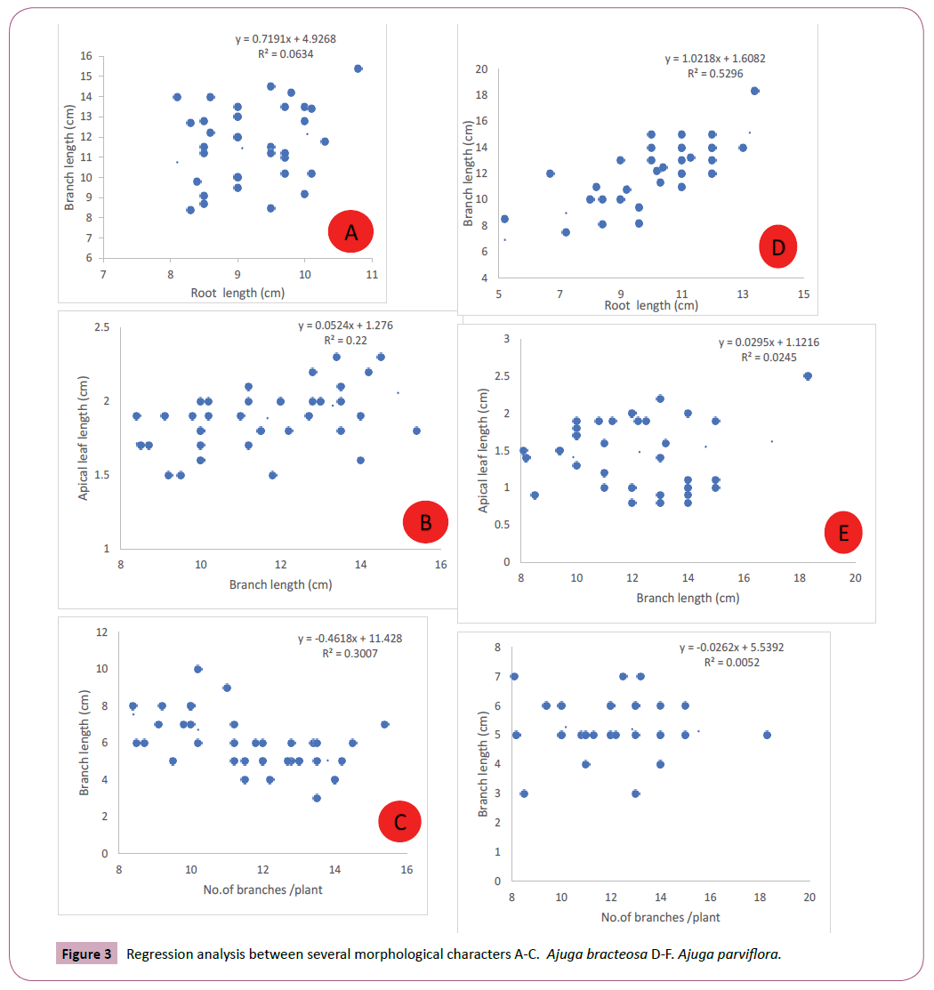 phytomedicine-clinical-therapeutics-analysis-between-several-morphological-characters