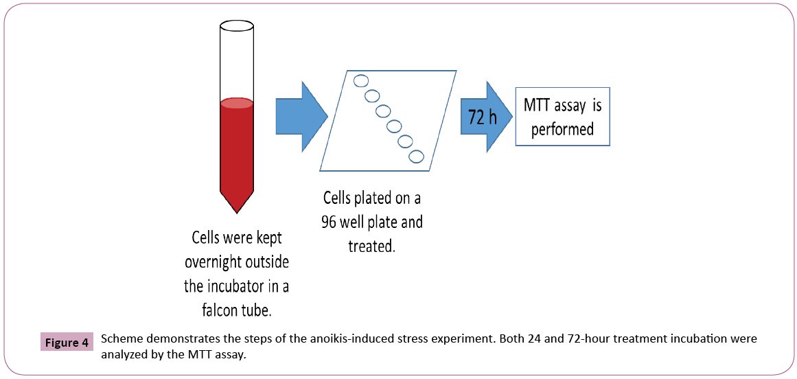 phytomedicine-clinical-therapeutics-anoikis-induced