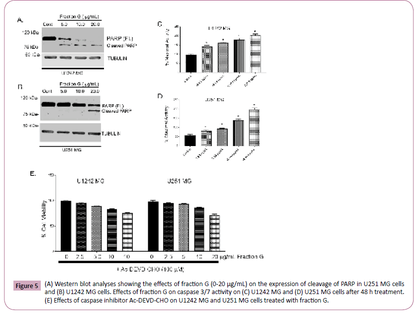 phytomedicine-clinical-therapeutics-effects-caspase-inhibitor