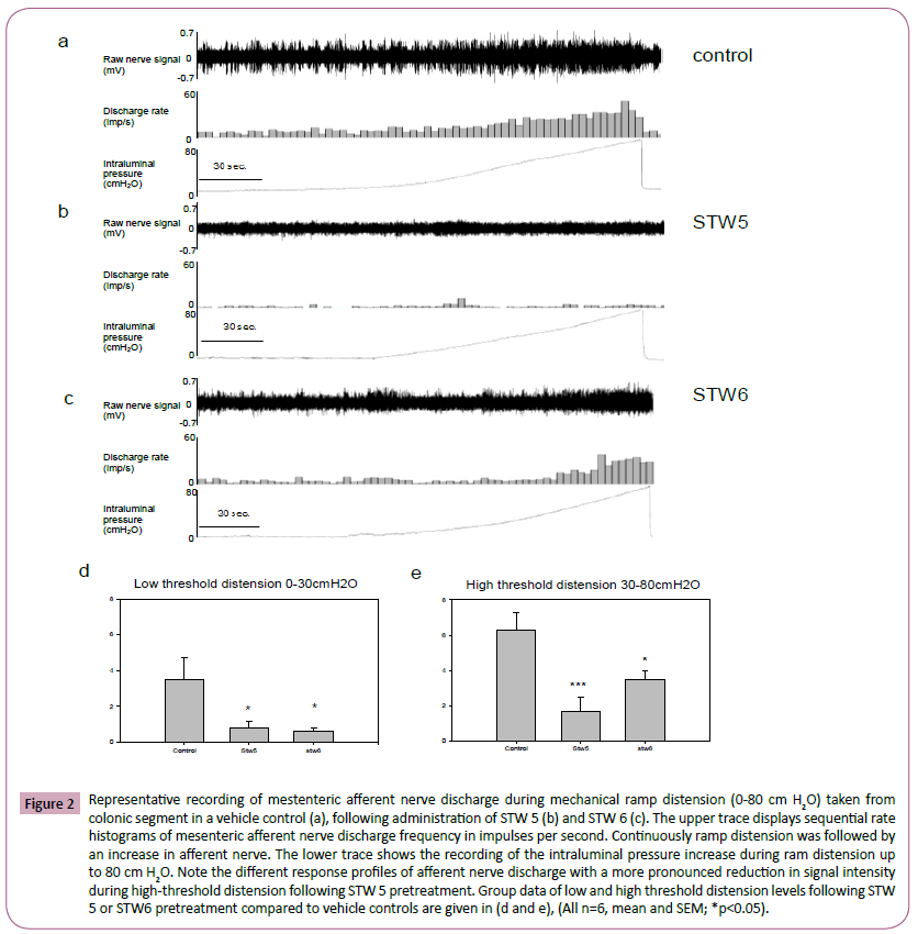 phytomedicine-clinical-therapeutics-mestenteric