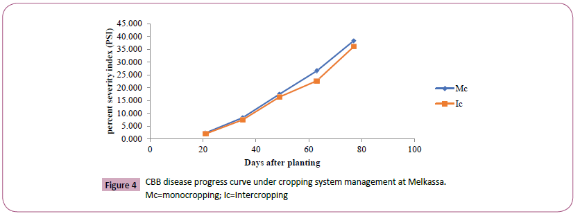 phytomedicine-clinical-therapeutics-monocropping