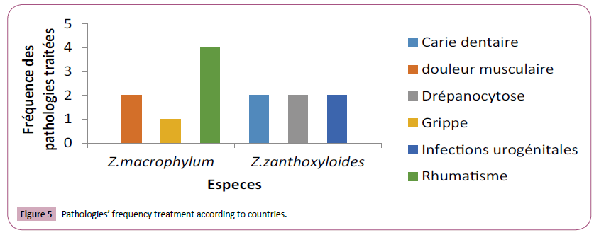 phytomedicine-clinical-therapeutics-pathologies