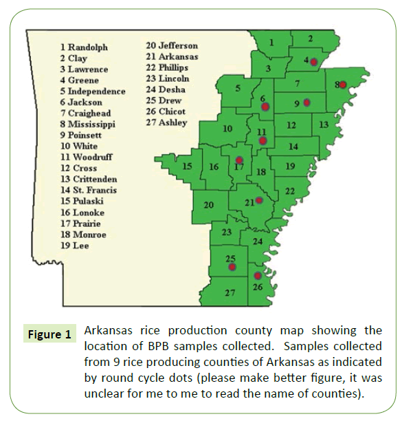 plant-pathology-Arkansas-rice