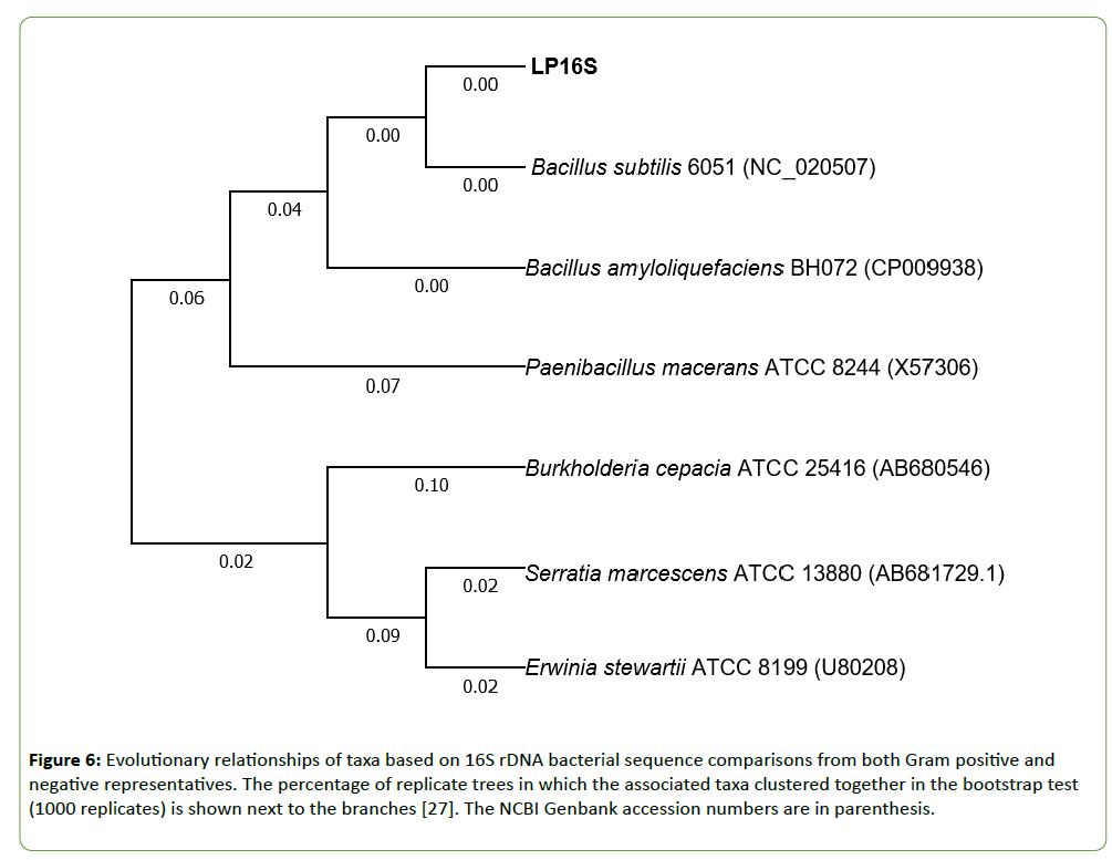 plant-pathology-Evolutionary-relationships