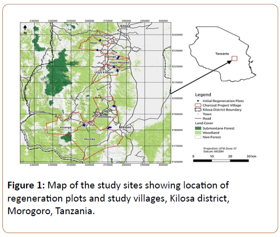 plant-sciences-and-agricultural-research-Kilosa-district