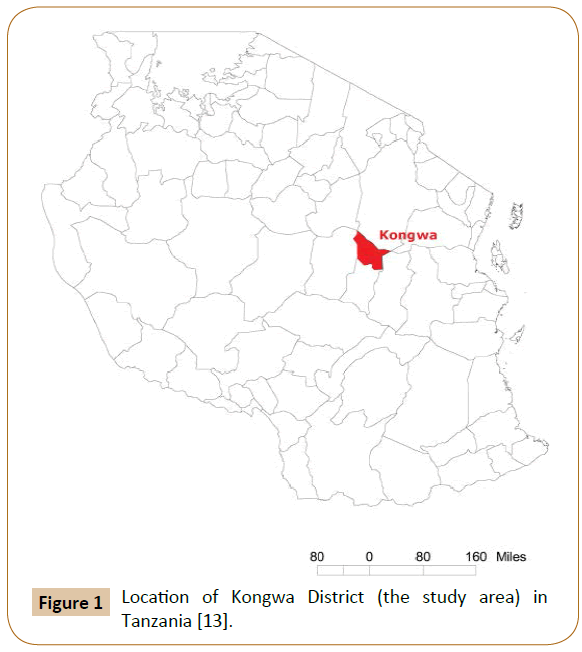 plant-sciences-and-agricultural-research-Kongwa-District