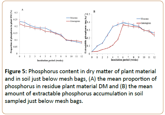 plant-sciences-and-agricultural-research-Phosphorus-content