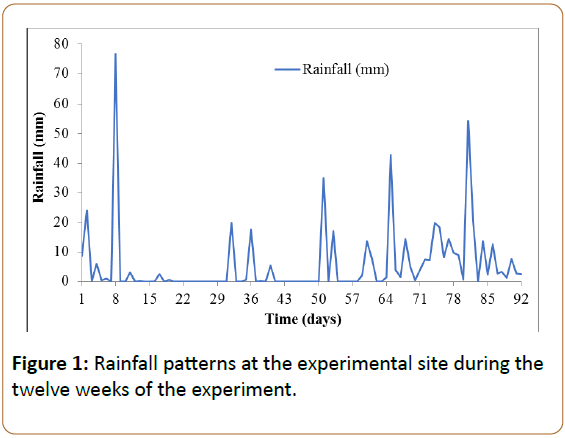 plant-sciences-and-agricultural-research-Rainfall-patterns