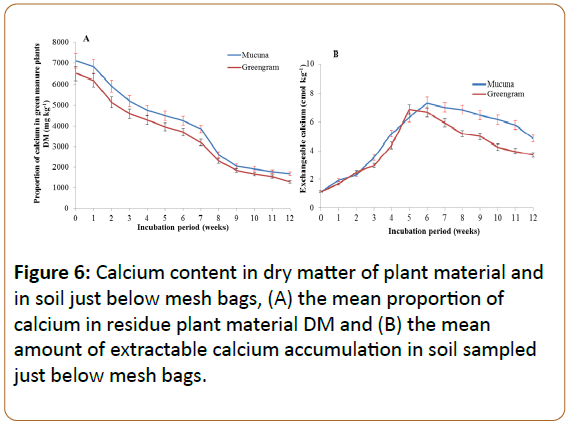 plant-sciences-and-agricultural-research-calcium-accumulation