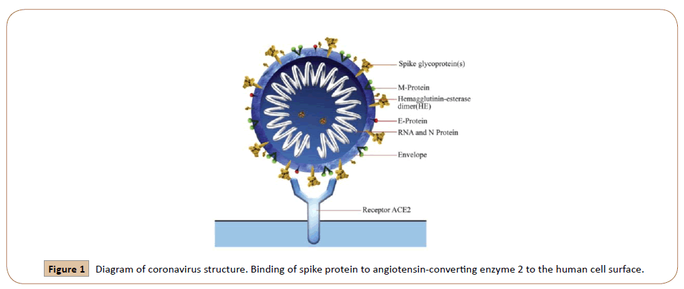 preventive-medicine-coronavirus-structure