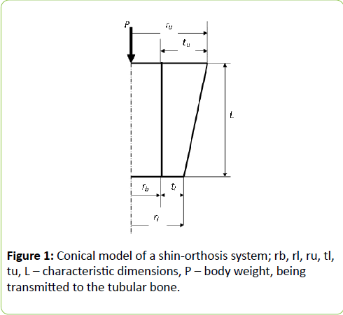 prosthetics-orthotics-open-journal-Conical-model